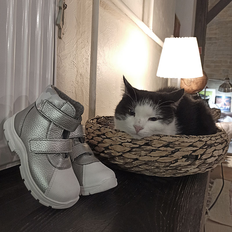 Ботинки ясельные байка, артикул 1815, цвет серебристый купить в интернет-магазине Shoeslel с доставкой по России