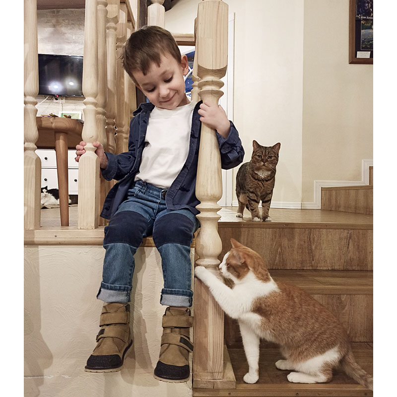 Ботинки байка, артикул 1848, цвет горчичный купить в интернет-магазине Shoeslel с доставкой по России